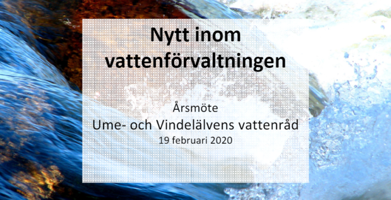 Nytt från Vattenförvaltningen 2020