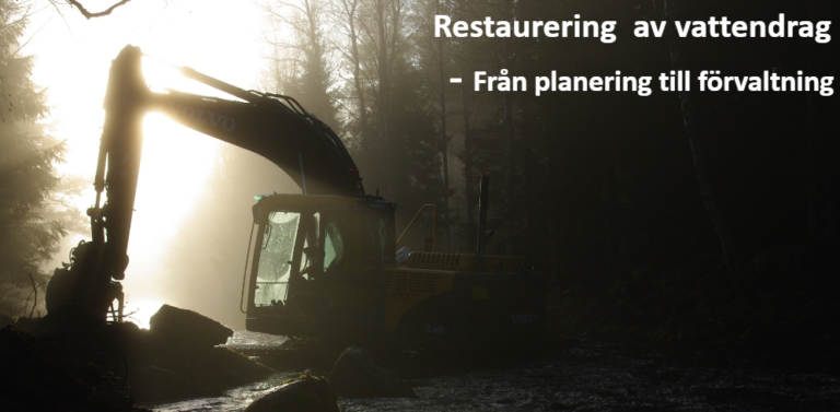 Restaurering av vattendrag: Från planering till förvaltning. Roger Vallin, Länsstyrelsen