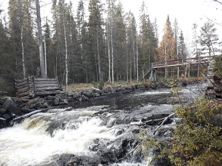 Tips på besök: Nya naturreservat i Västerbotten