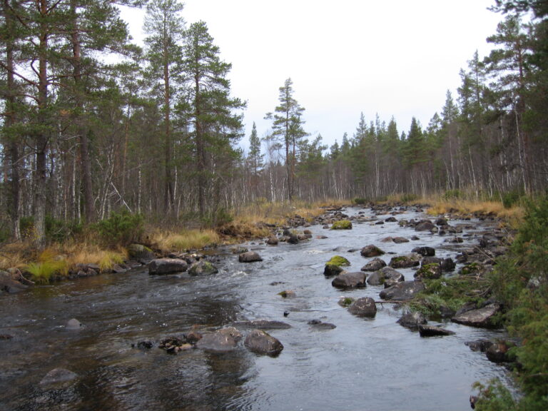 Projekt Ecostream -samarbetsprojekt inom Västerbotten,Jämtland och Västrnorrland